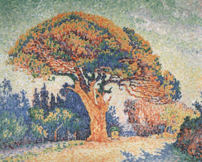 Paul Signac Pine Tree at Saint-Tropez China oil painting art